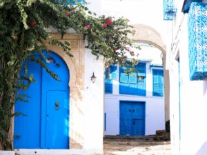 MEMOS XXVIII en inglés en Túnez